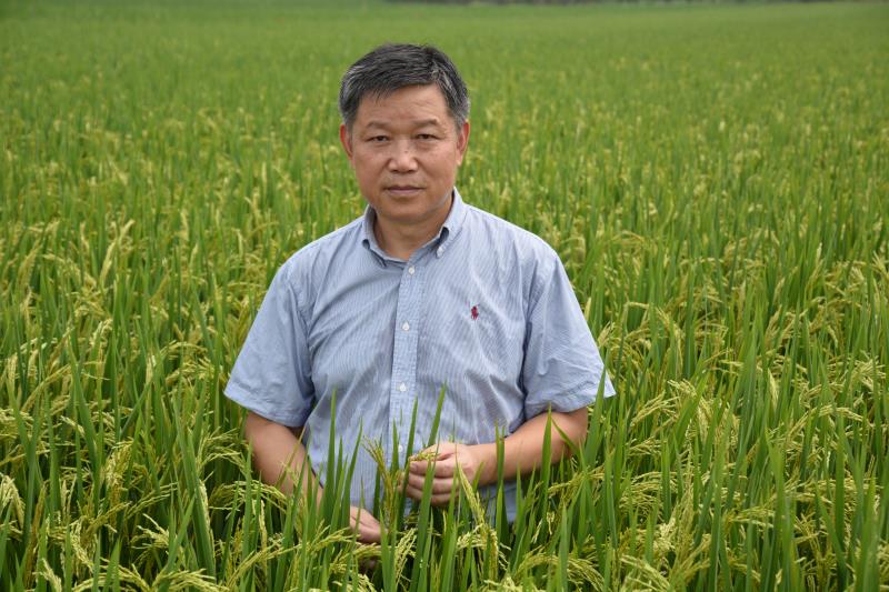 c7官网登录入口app