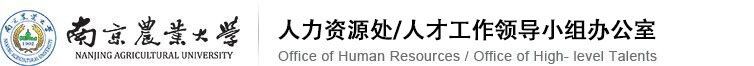应聘入口