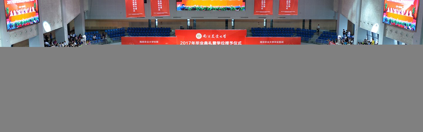 8月4日